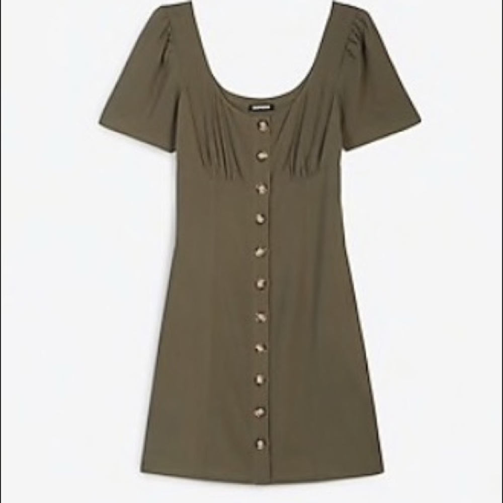 Express Dress - Picture 4 of 4